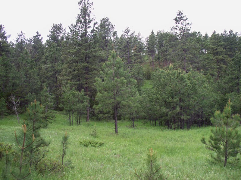 Musselshell County photo 10