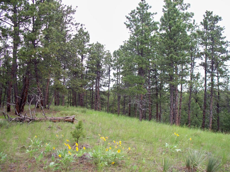 Musselshell County photo 3
