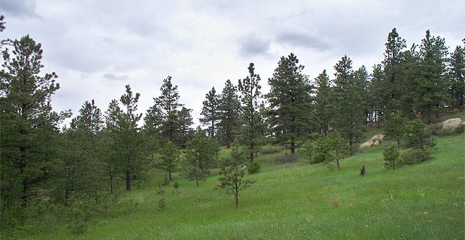 Musselshell County photo 11
