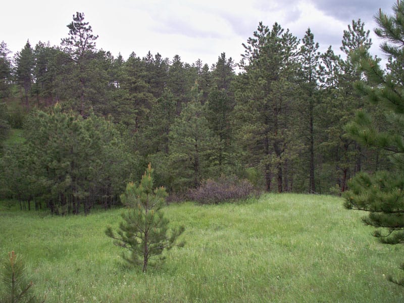 Musselshell County photo 2