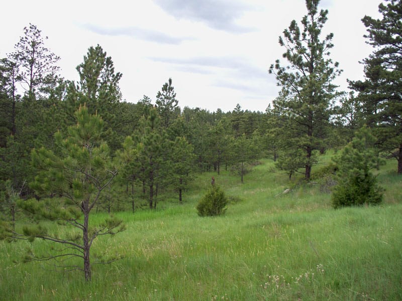 Musselshell County photo 6