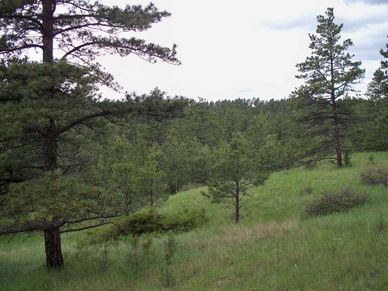 Musselshell County photo 5
