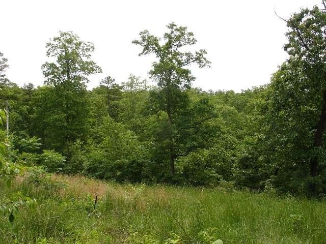 Indian Creek photo 6