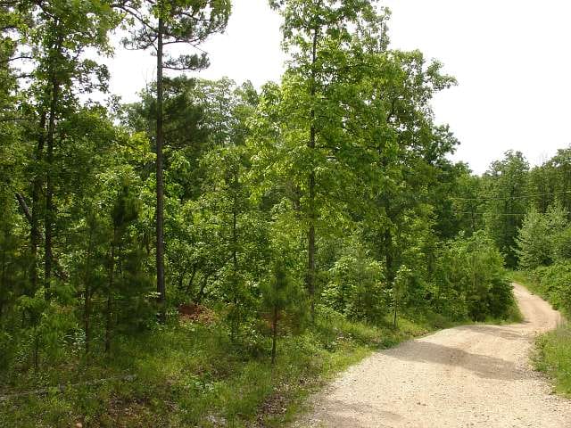 Indian Creek photo 3