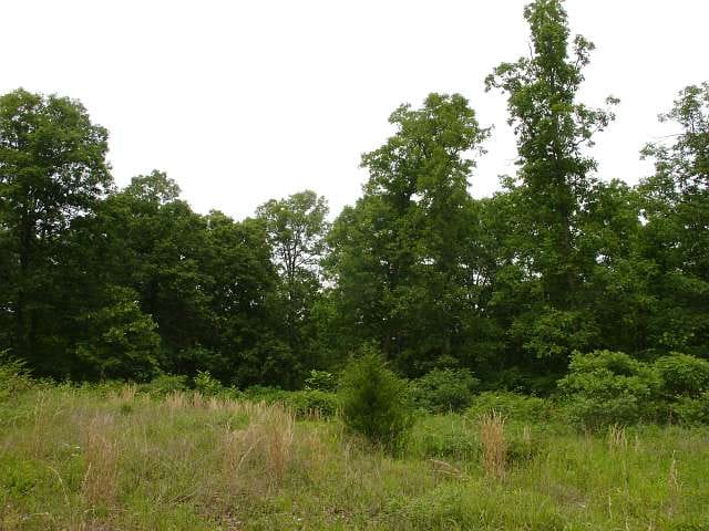 Indian Creek photo 9