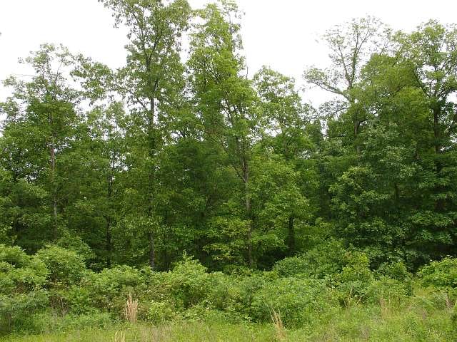 Indian Creek photo 12