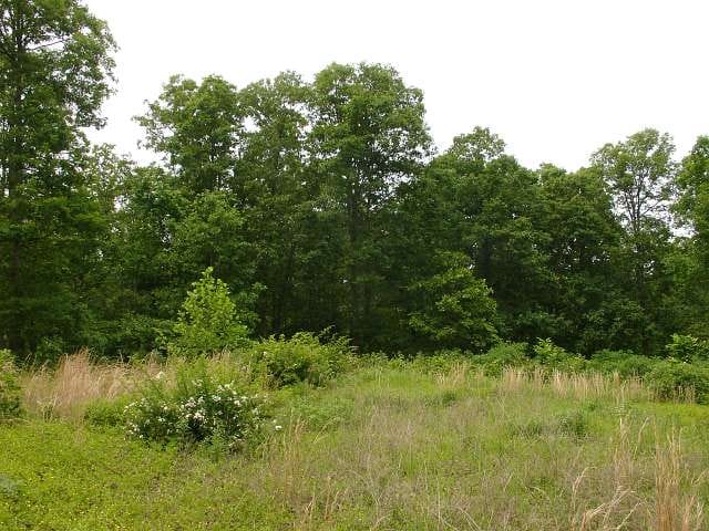Indian Creek photo 11