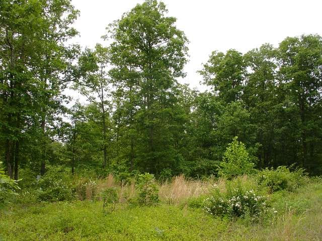 Indian Creek photo 10