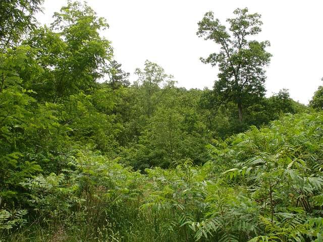 Indian Creek photo 5