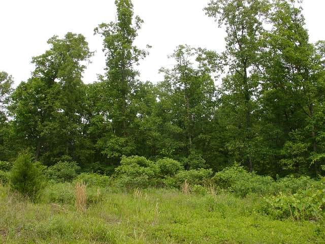 Indian Creek photo 8