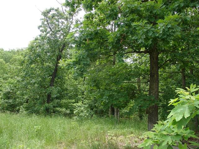 Indian Creek photo 7