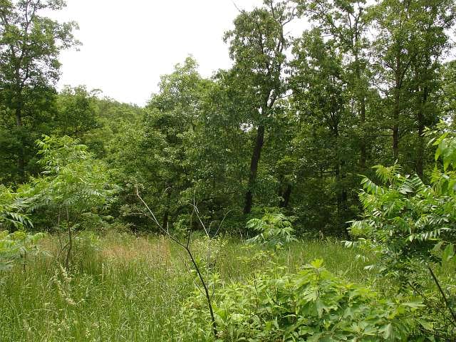 Indian Creek photo 4