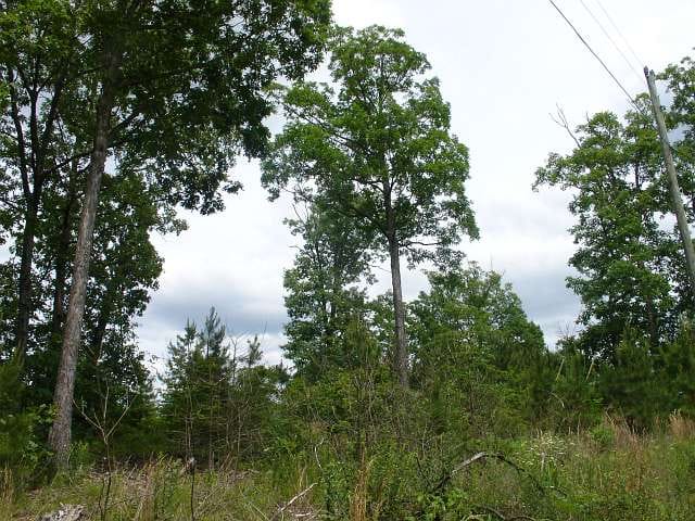 Indian Creek photo 13