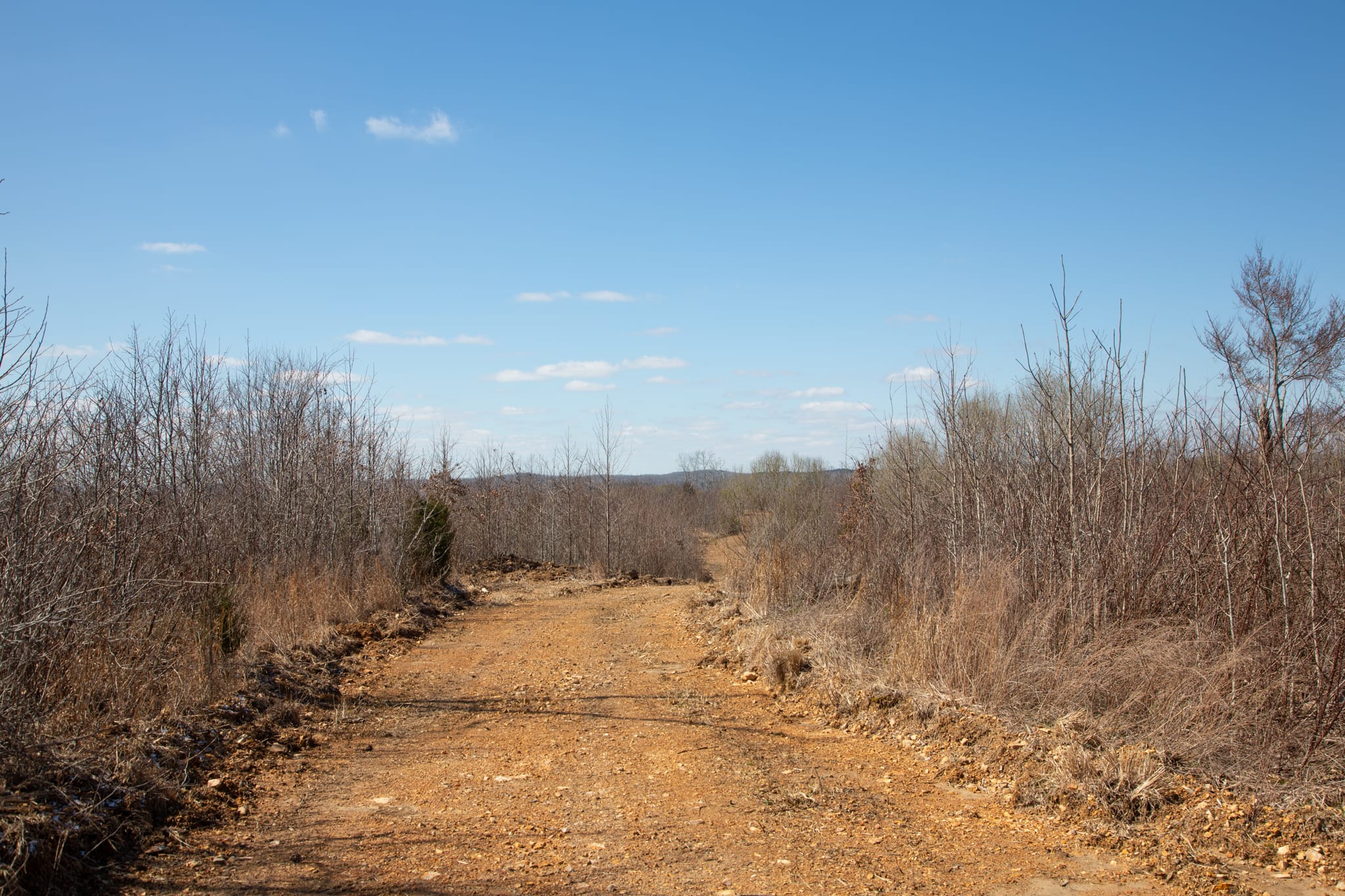 Southwind Ranch photo 24