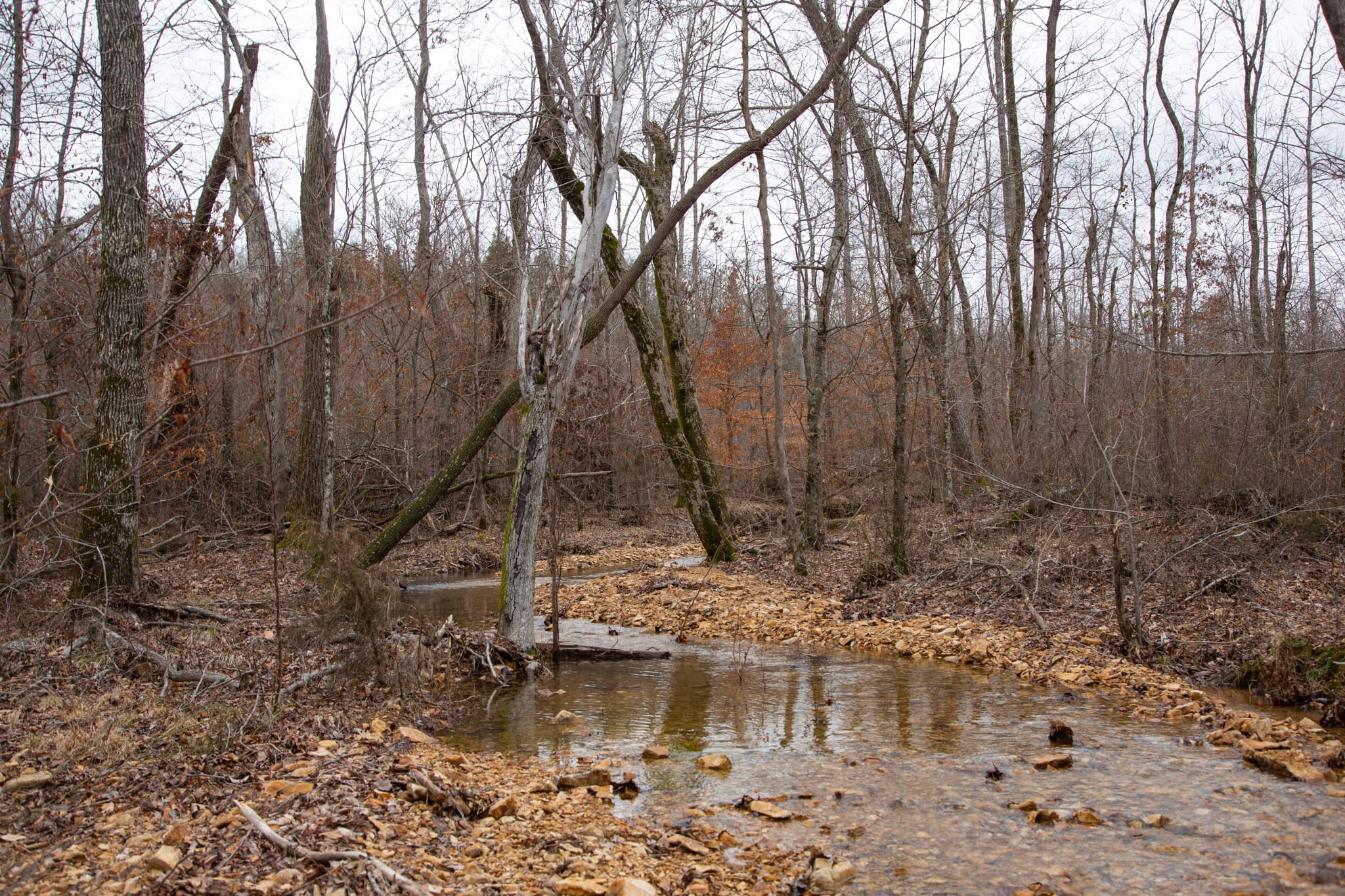 Southwind Ranch photo 3
