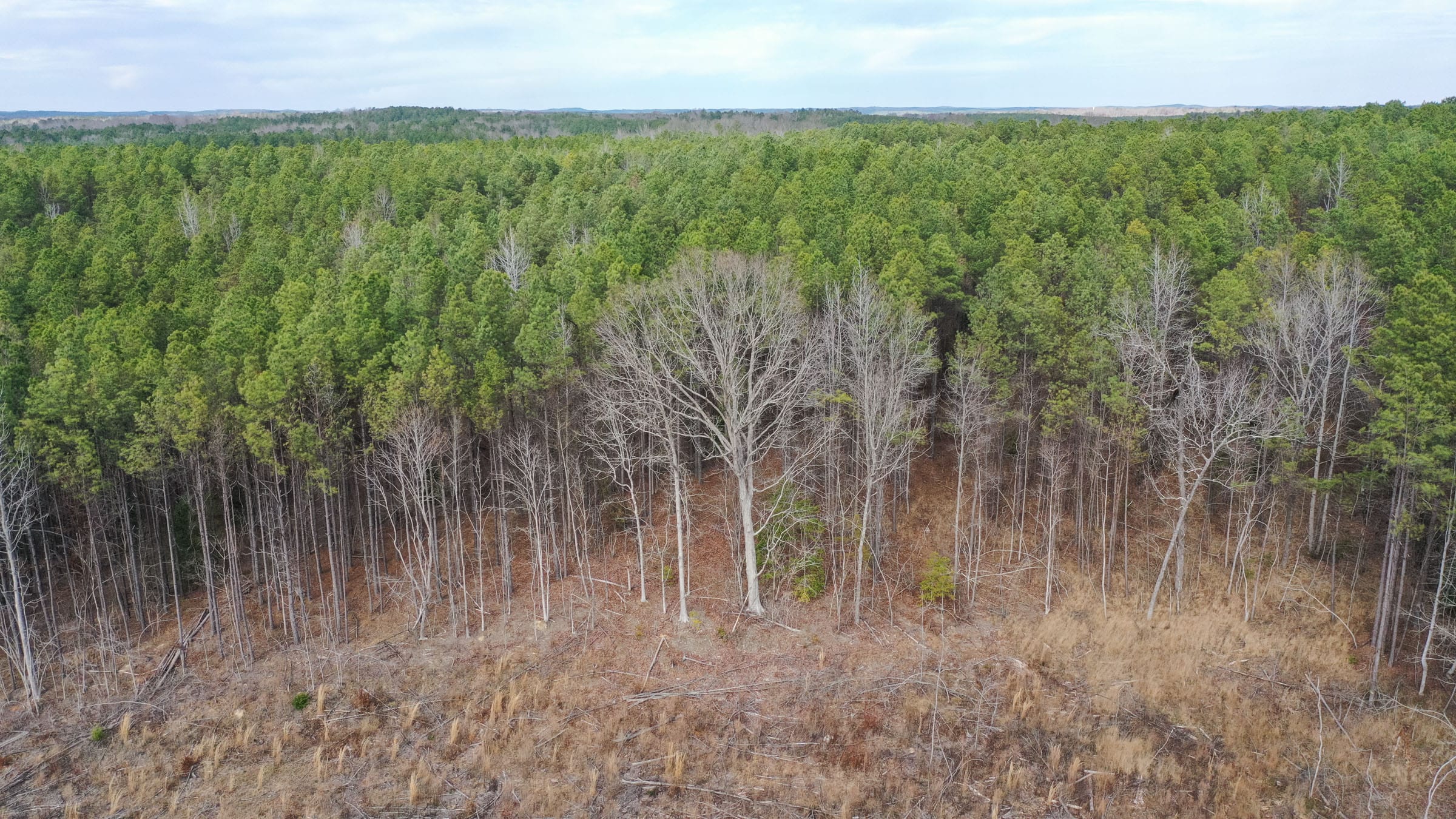 Fairview Hills photo 4