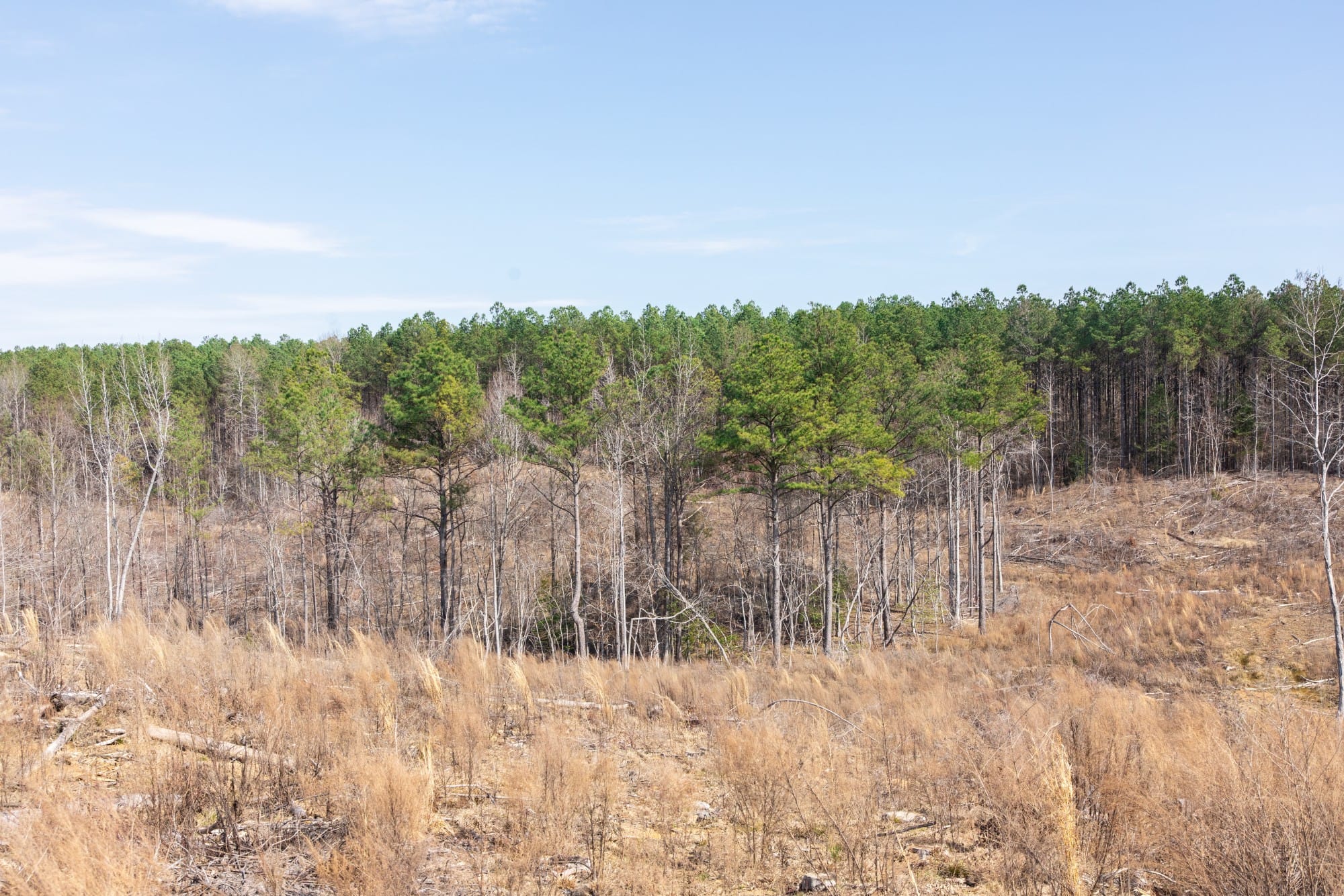 Fairview Hills photo 13