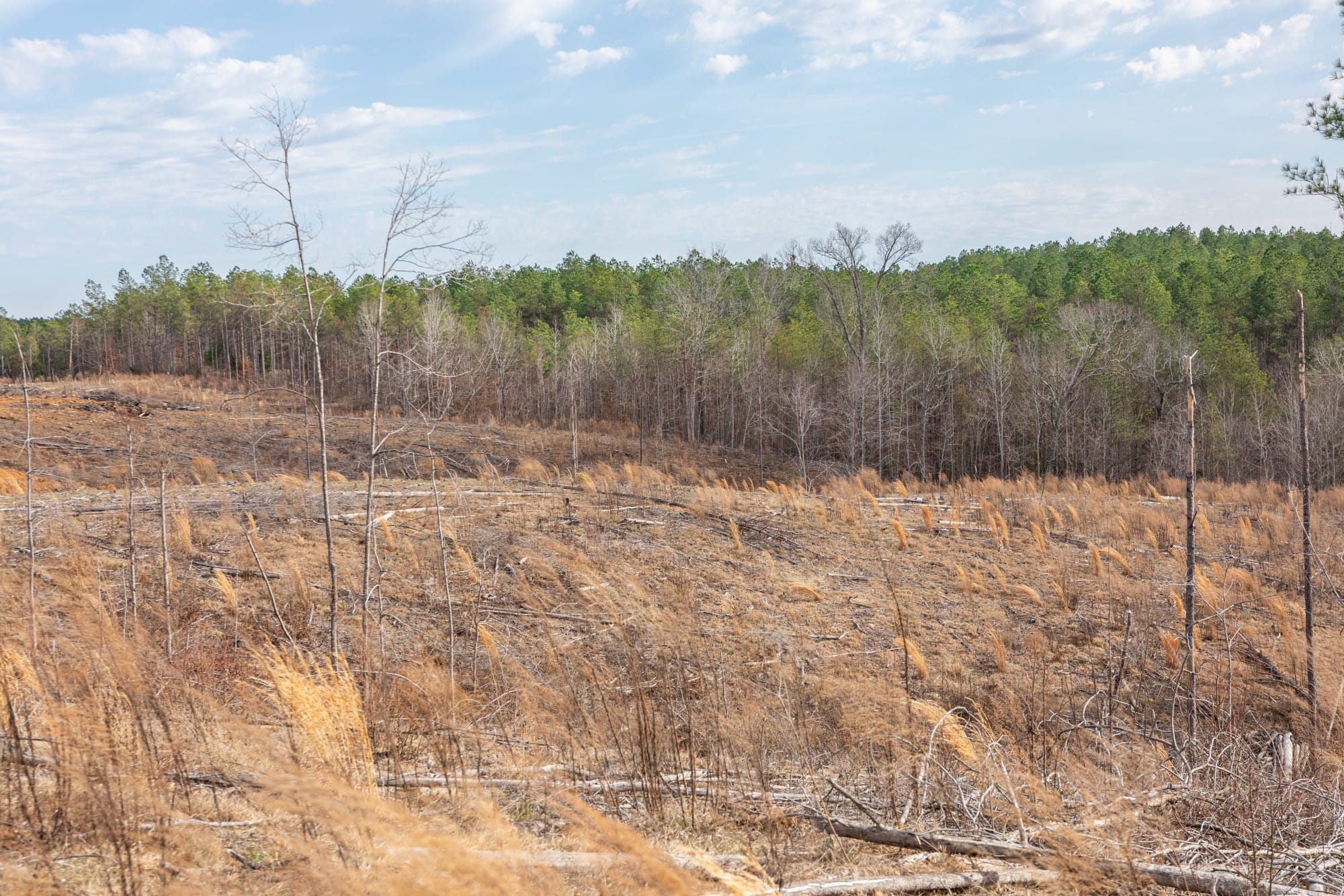 Fairview Hills photo 16