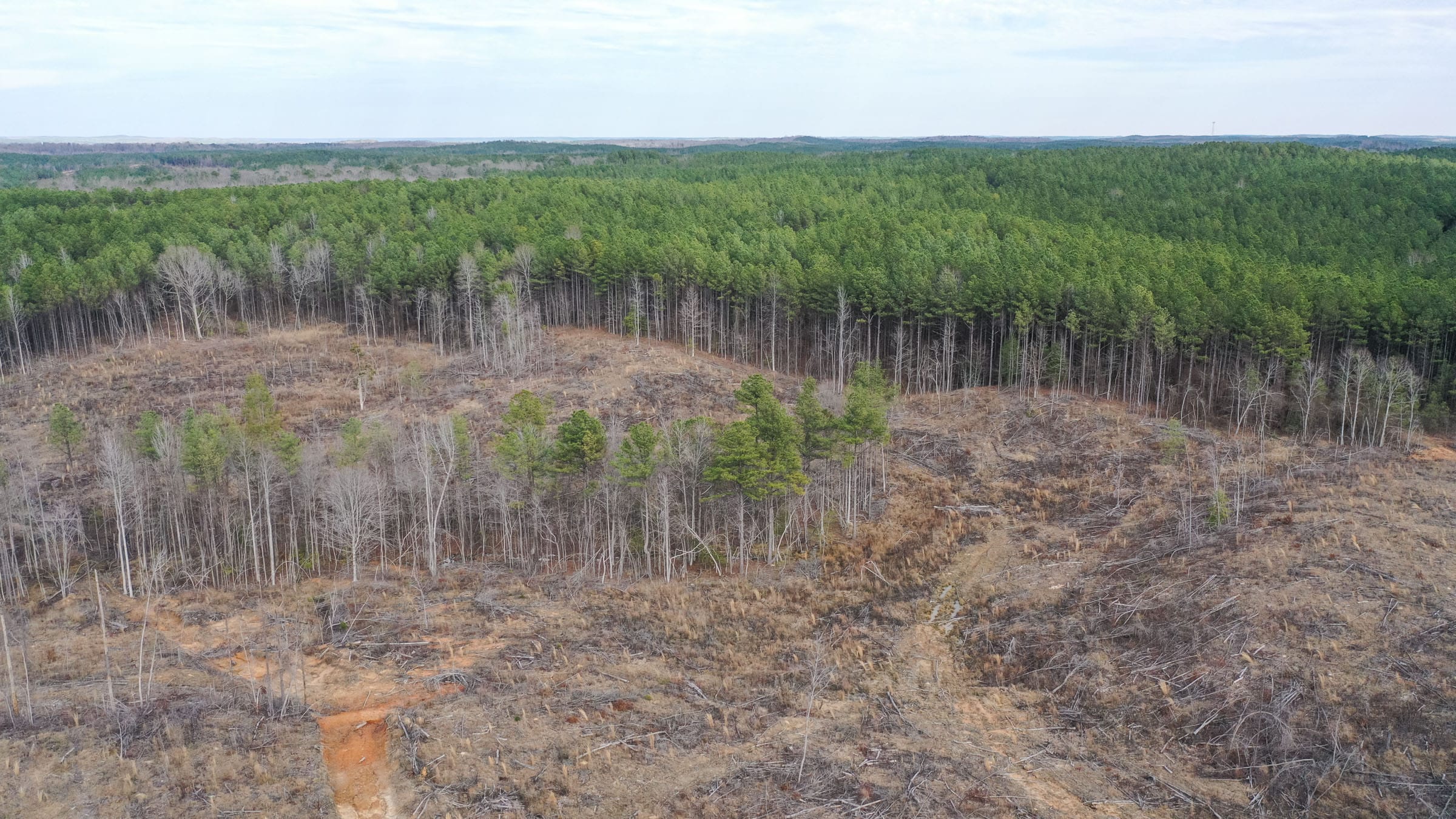 Fairview Hills photo 2