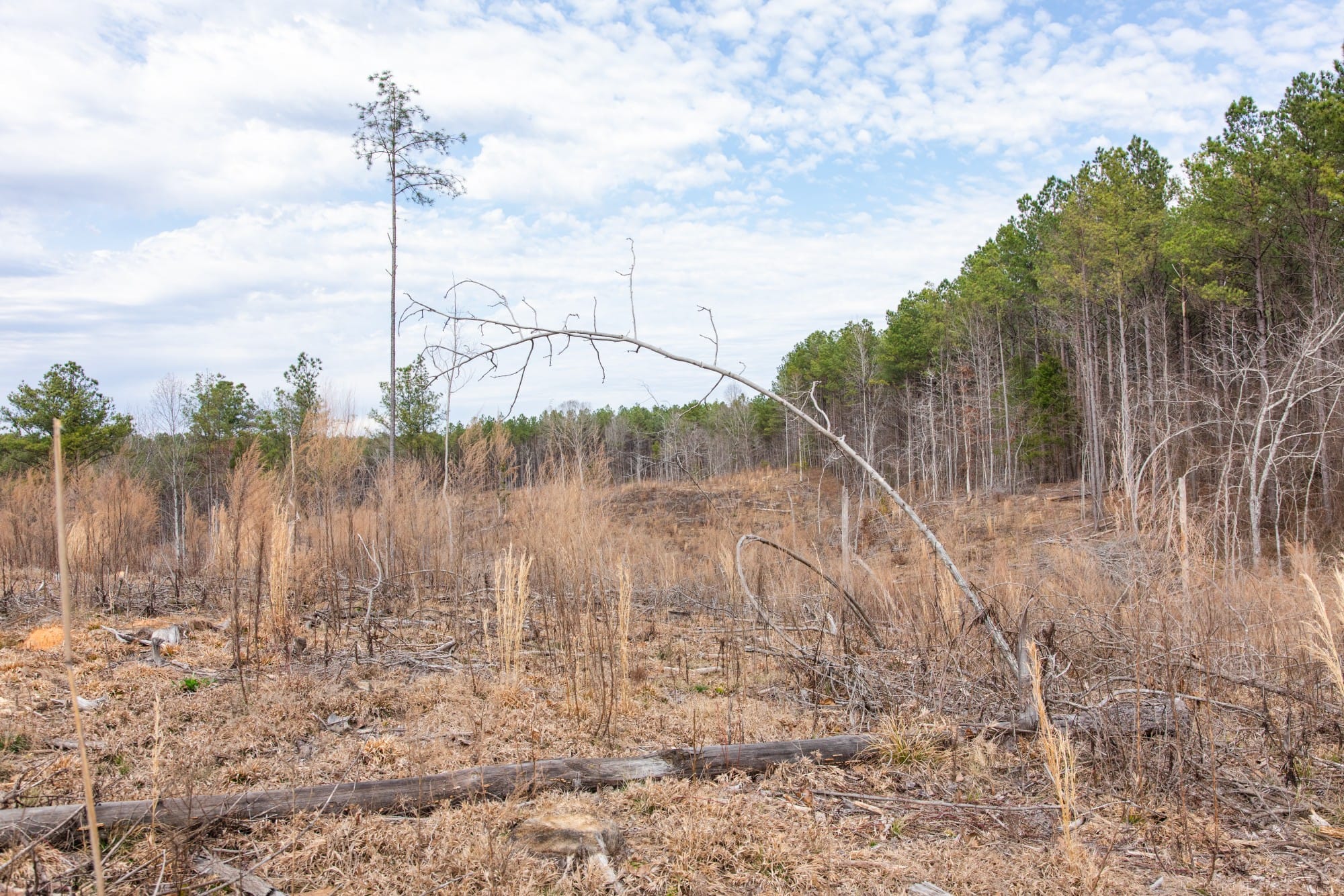 Fairview Hills photo 14