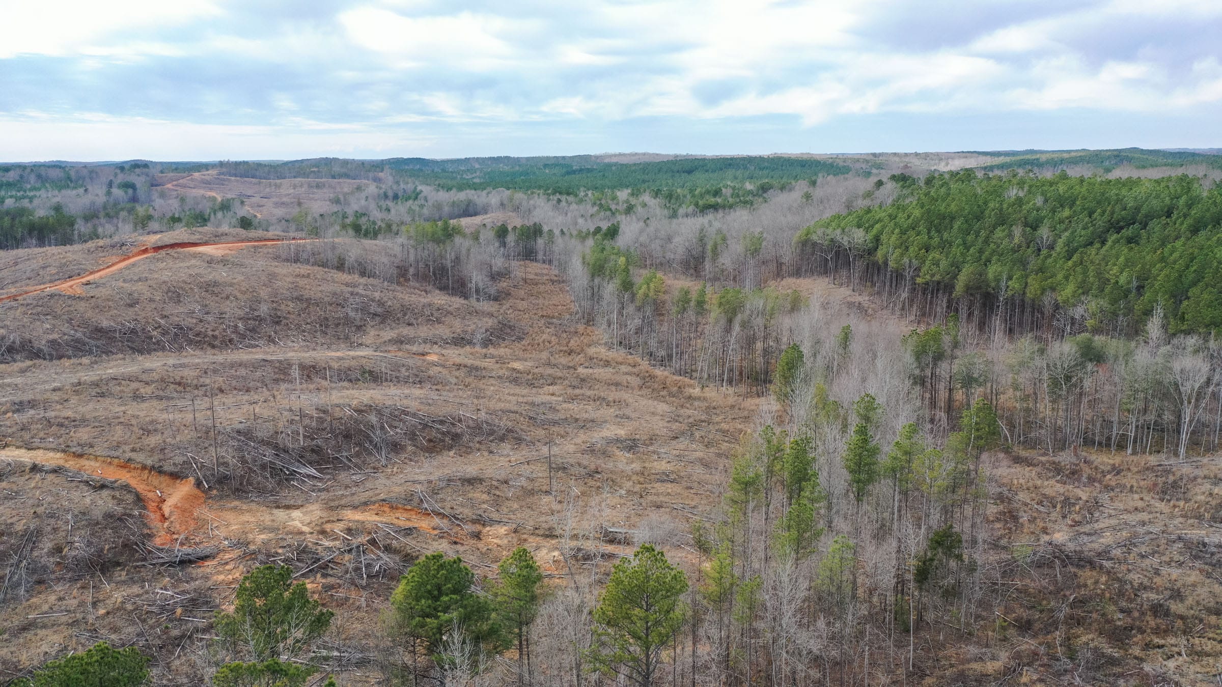 Fairview Hills photo 3