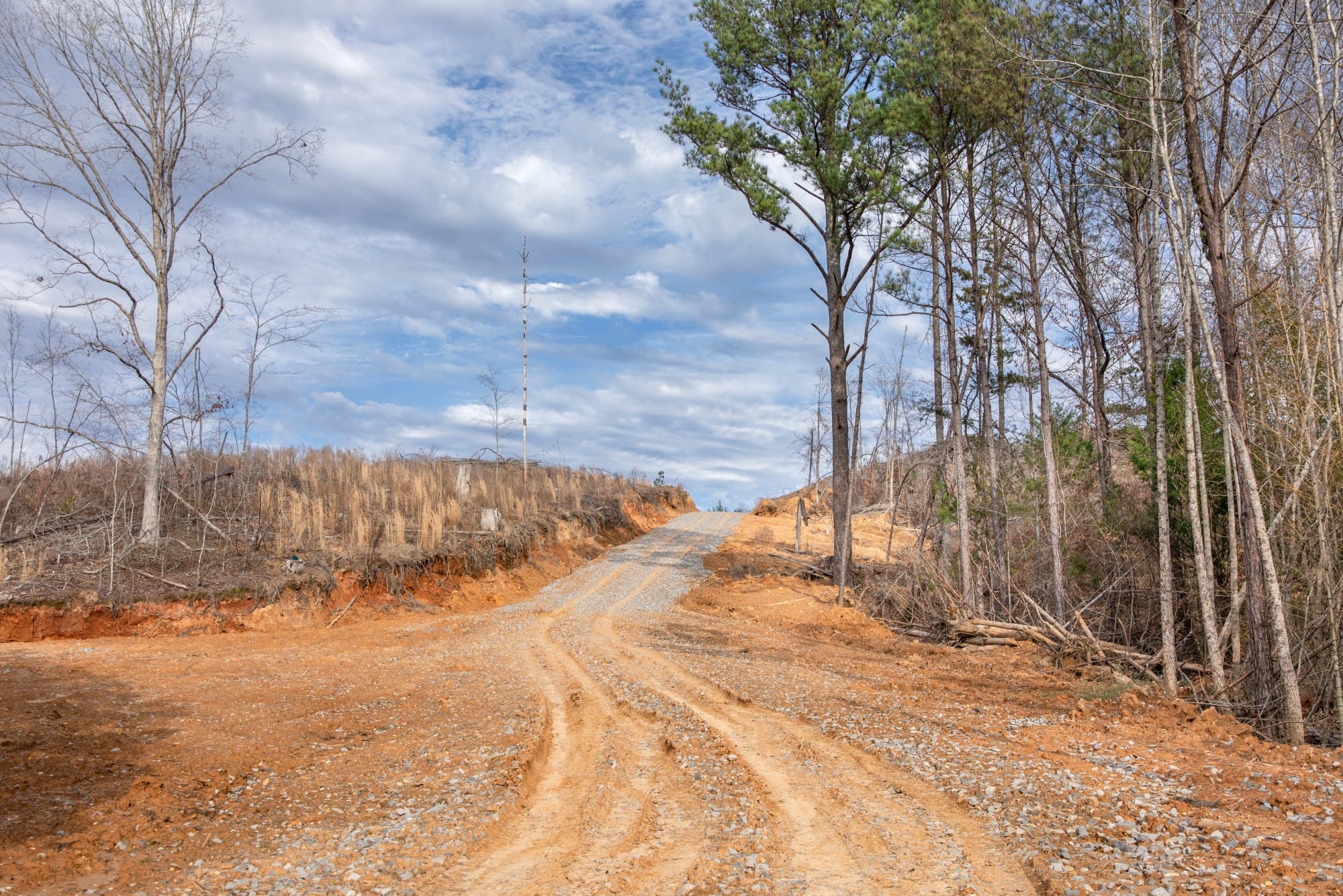 Fairview Hills photo 18