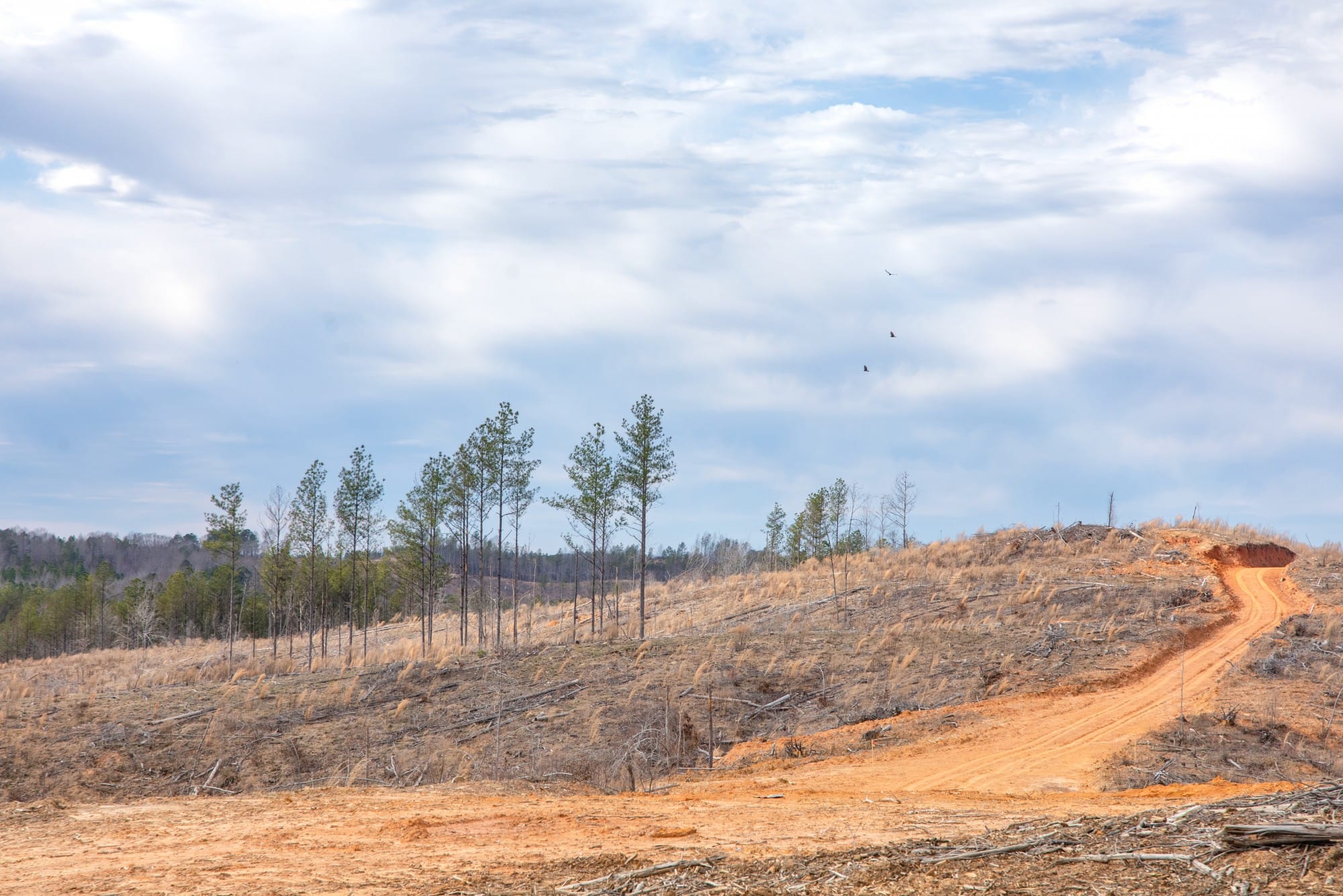 Fairview Hills photo 15