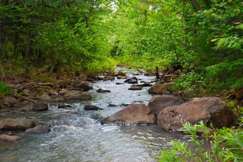 Lake View Ranch photo 9