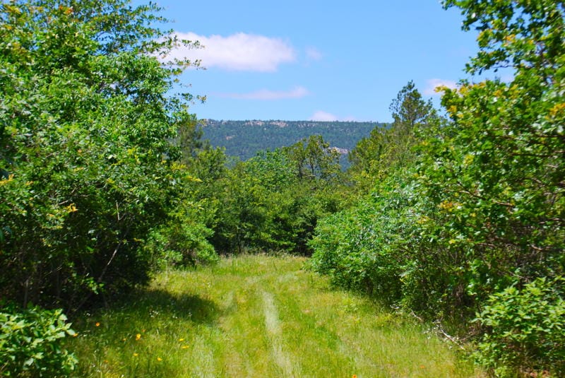Lake View Ranch photo 10