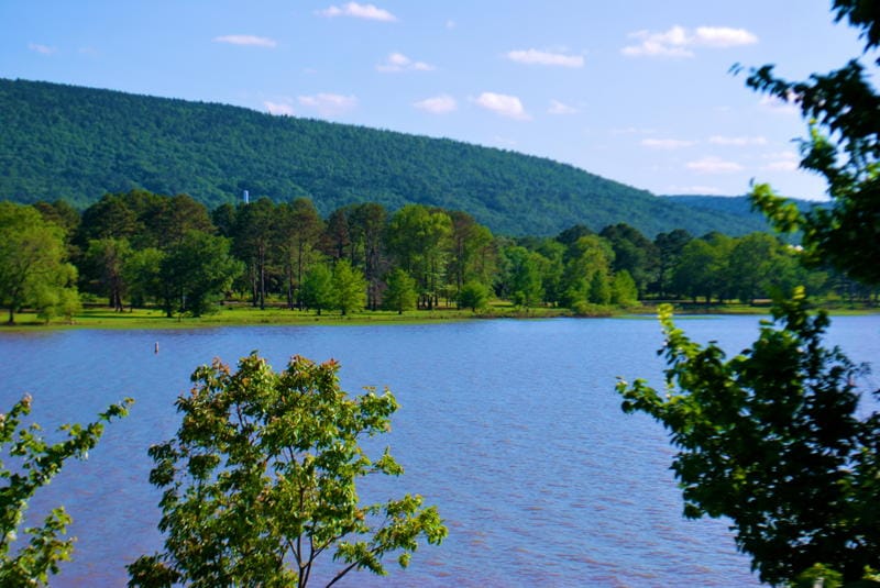 Lake View Ranch photo 14