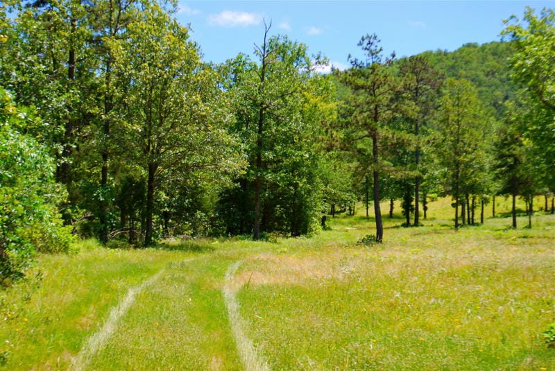 Lake View Ranch photo 11