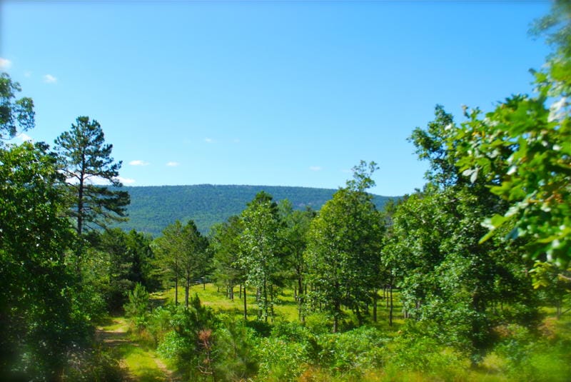 Lake View Ranch photo 13
