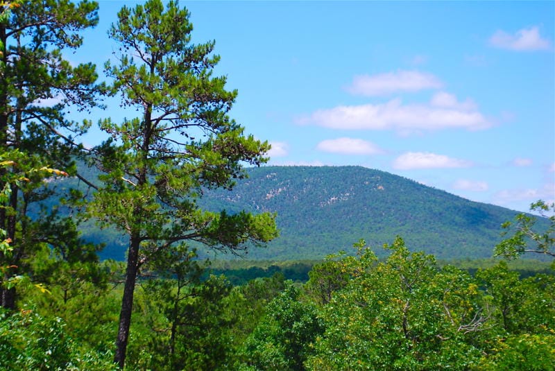 Lake View Ranch photo 12