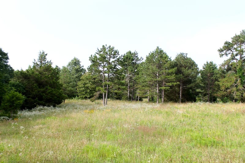 Green Mountain Ranch photo 5