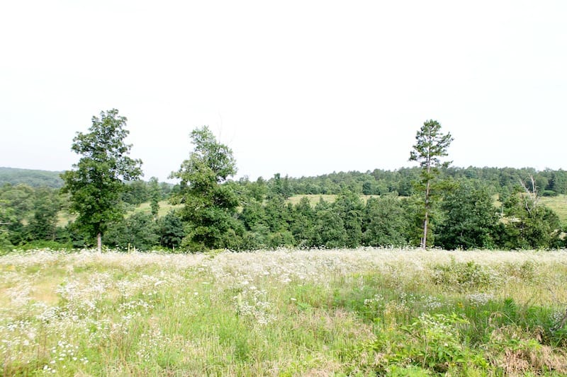Green Mountain Ranch photo 6