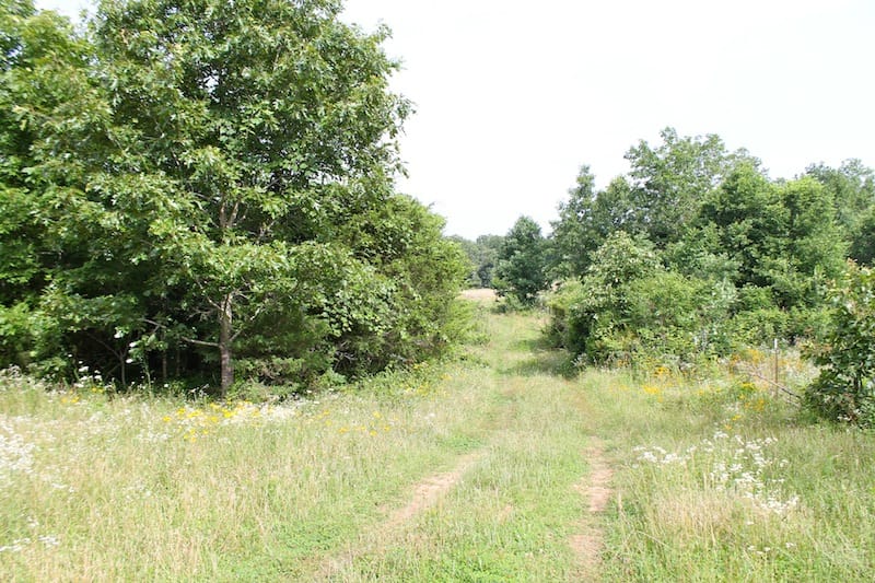 Green Mountain Ranch photo 8