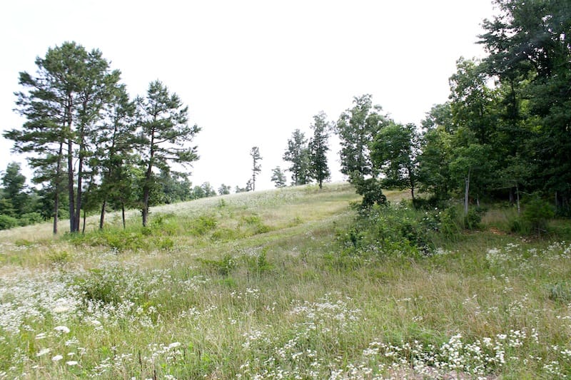 Green Mountain Ranch photo 7