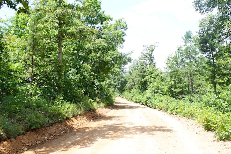 Green Mountain Ranch photo 10