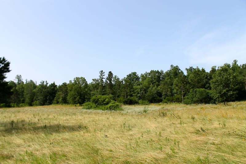 Green Mountain Ranch photo 9