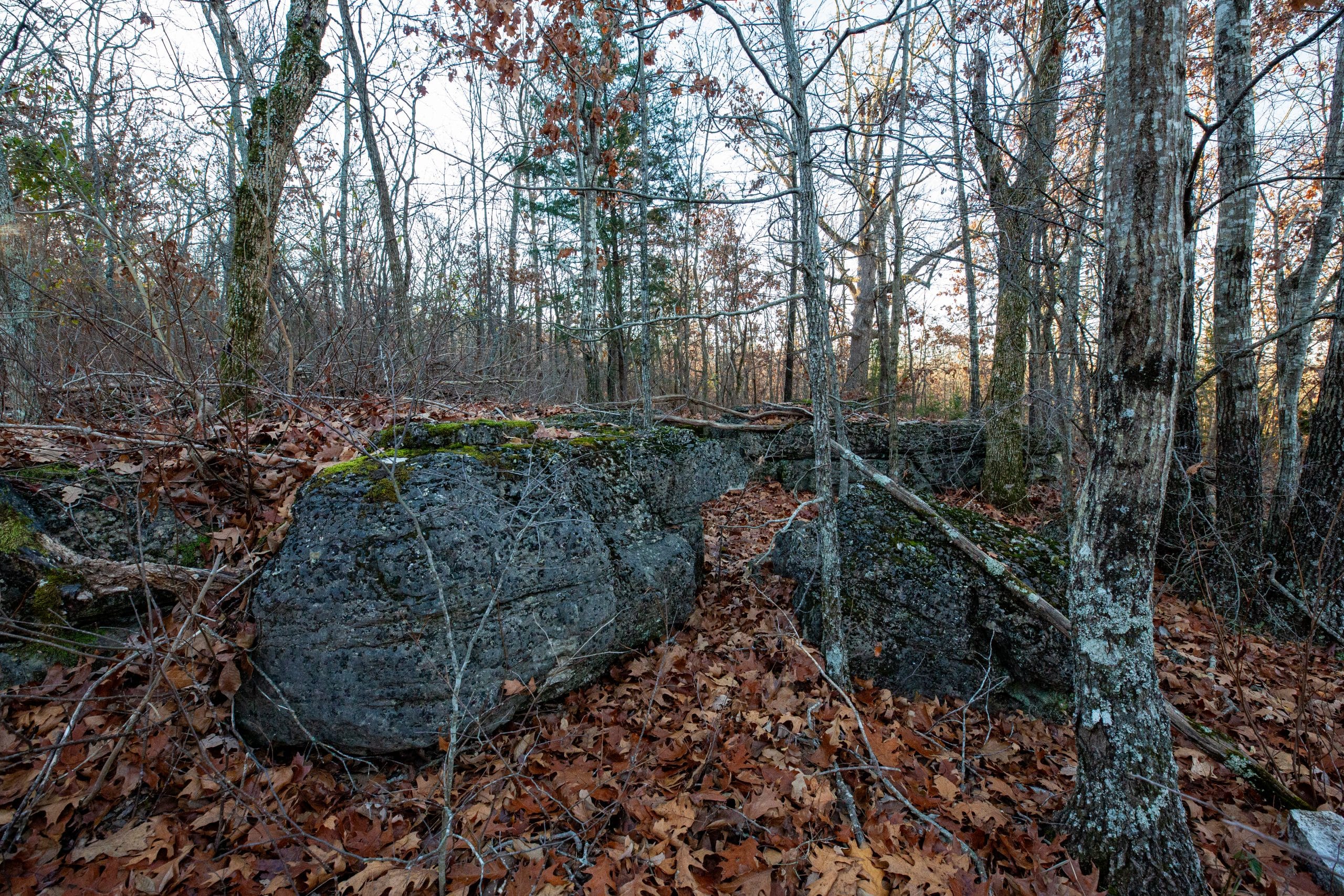 Dutchman Hollow photo 9