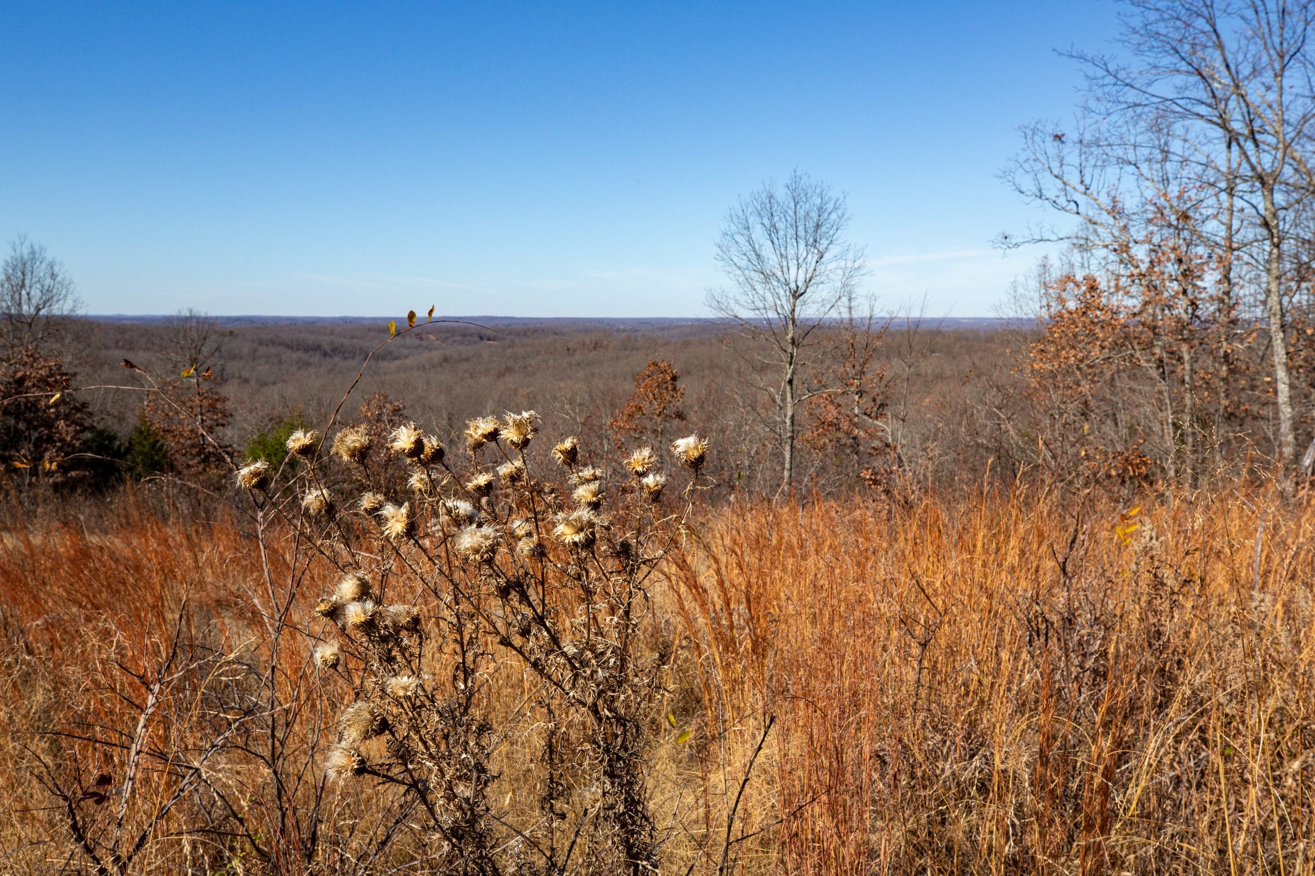 Dutchman Hollow photo 14