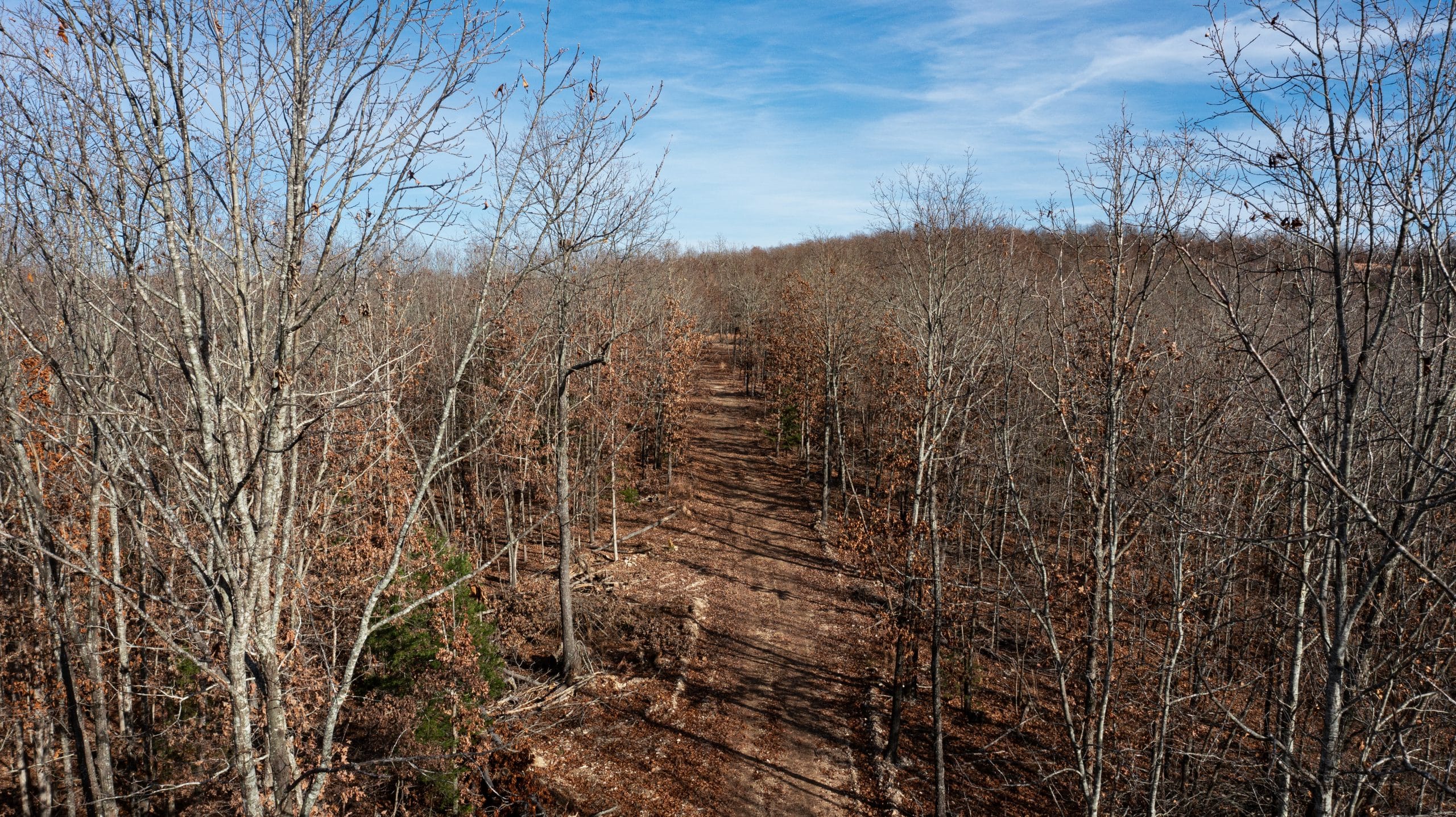 Dutchman Hollow photo 6