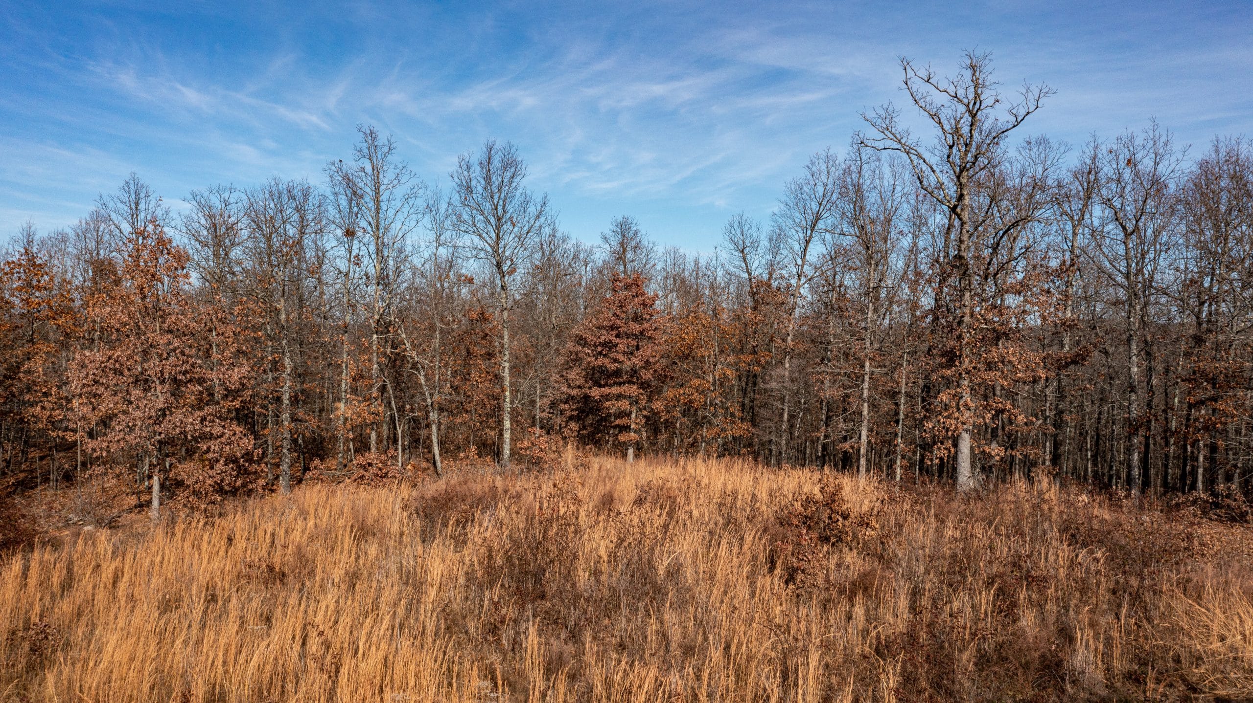 Dutchman Hollow photo 5
