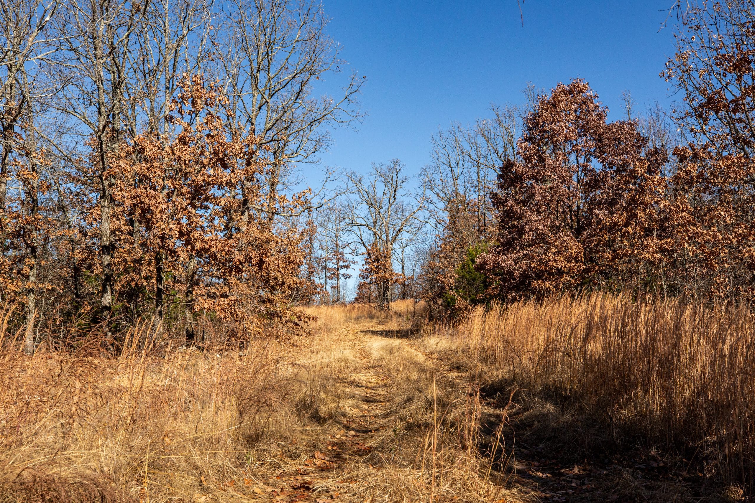 Dutchman Hollow photo 4