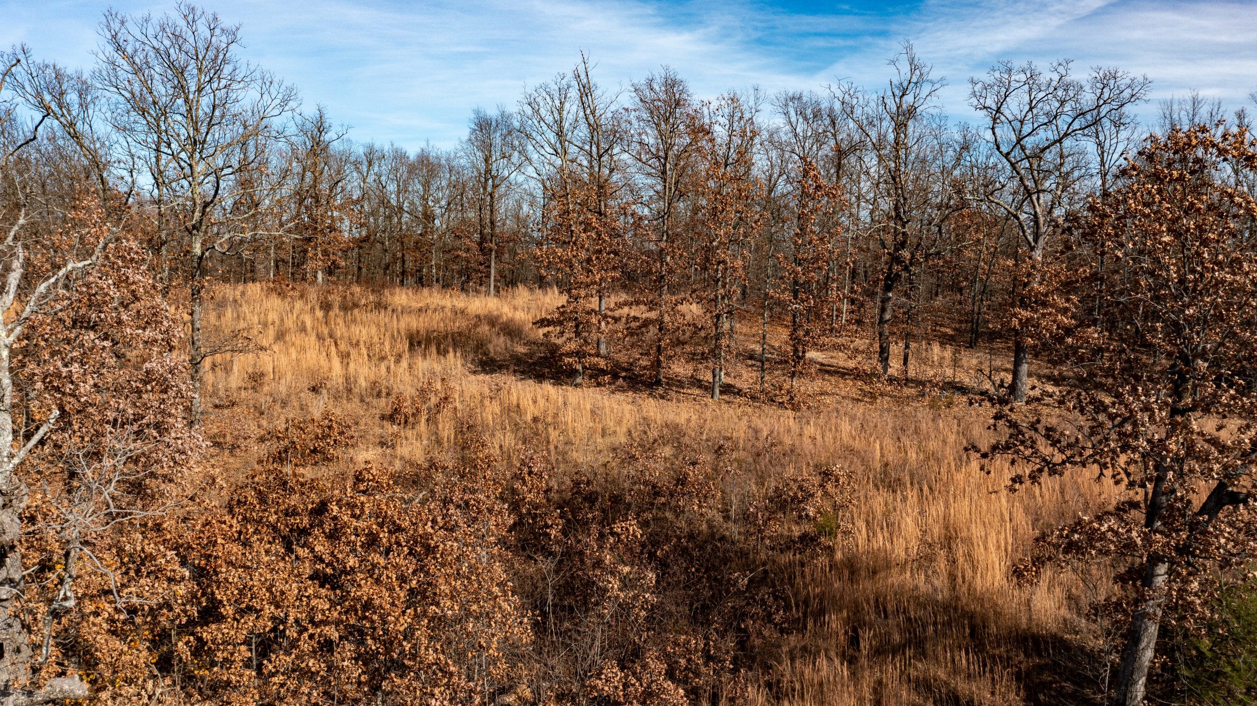 Dutchman Hollow photo 7