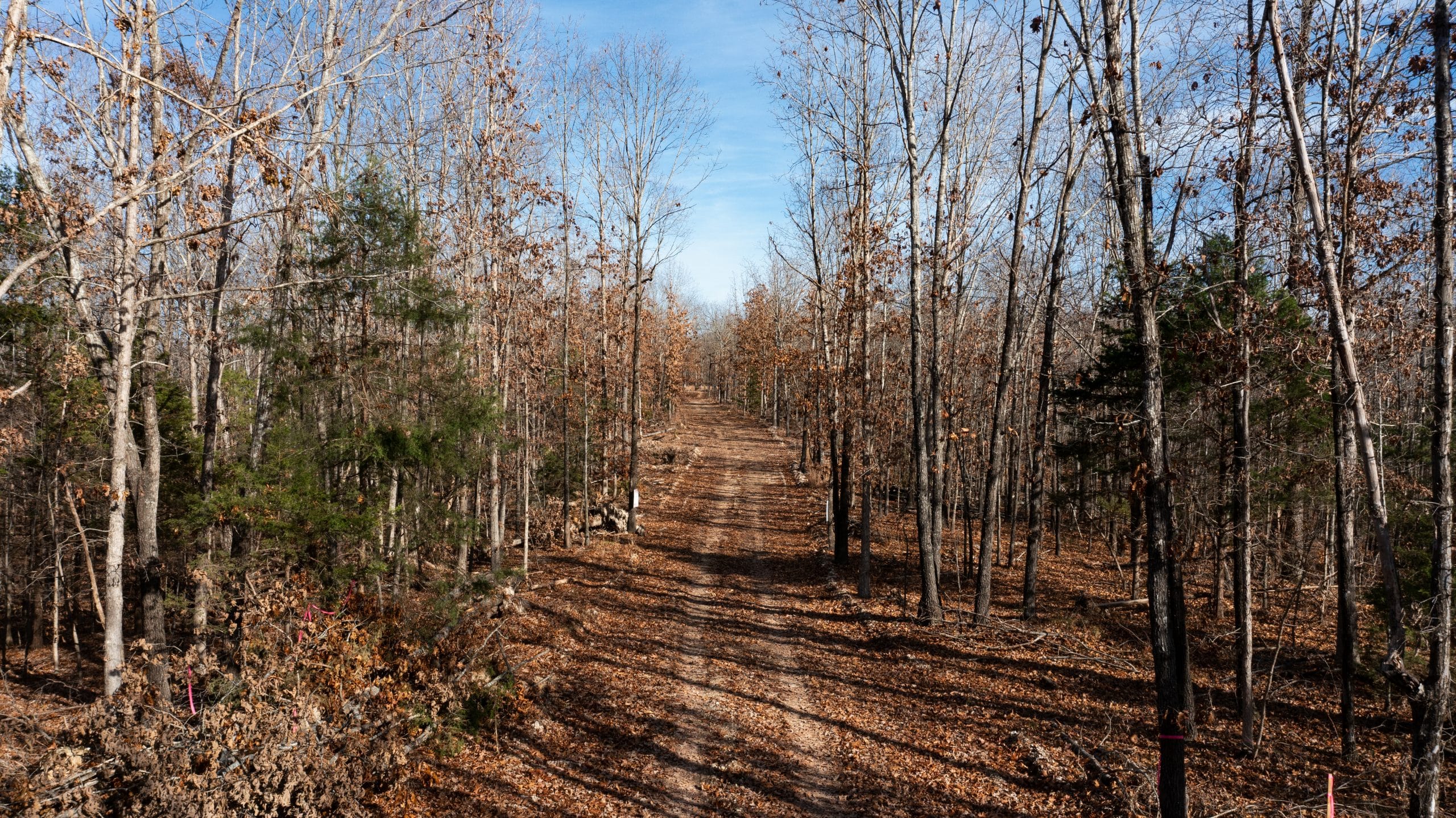 Dutchman Hollow photo 2
