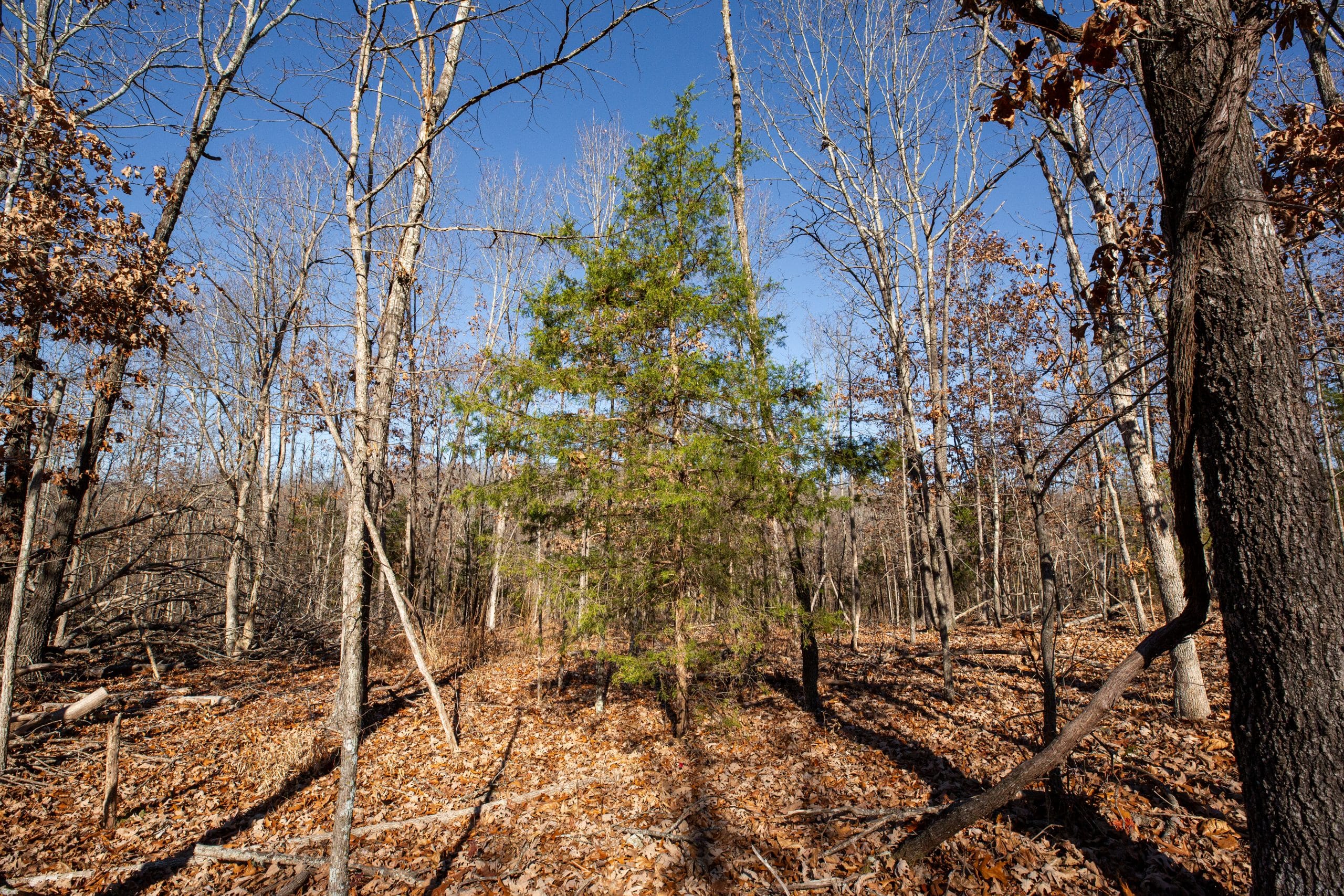 Dutchman Hollow photo 15