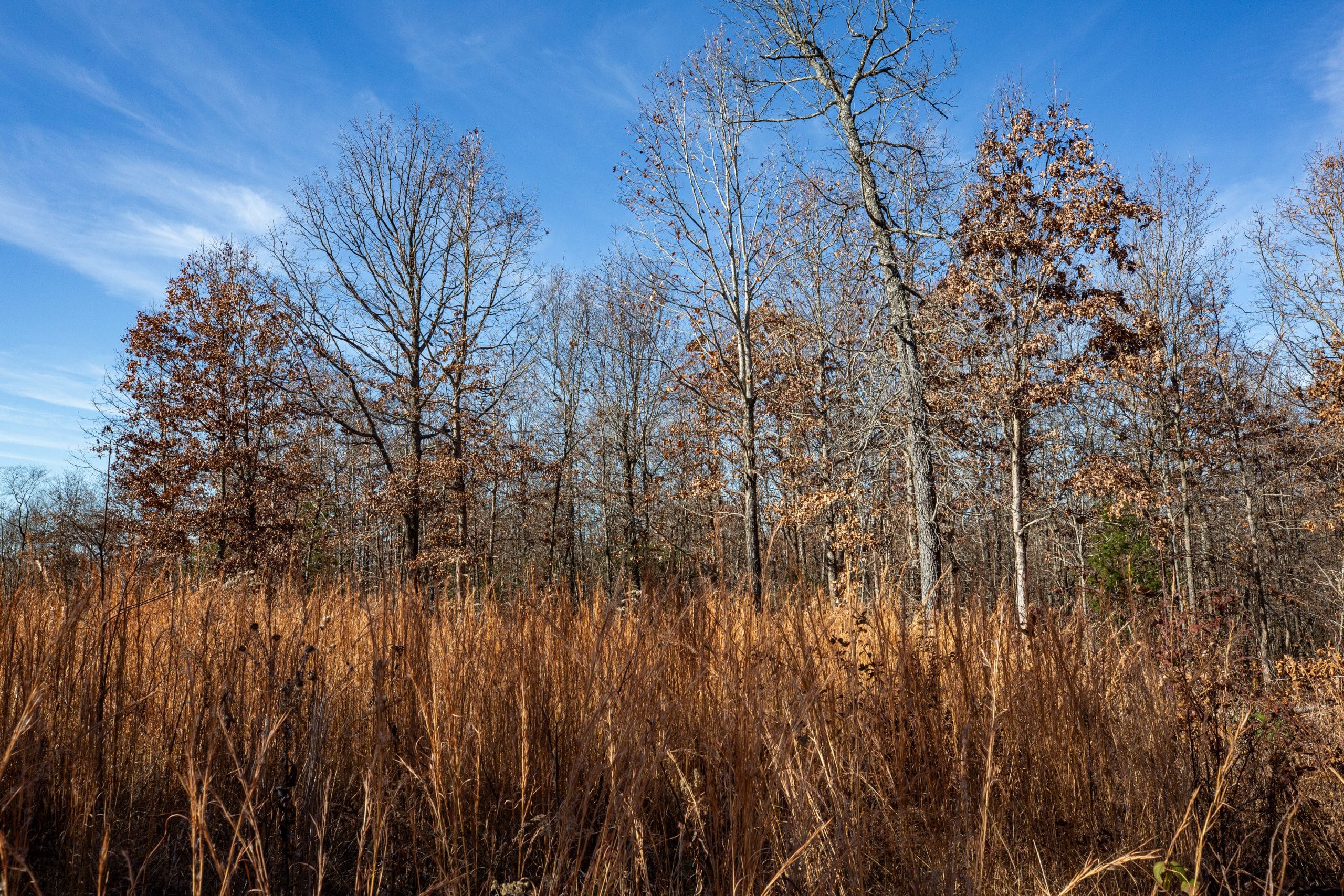 Dutchman Hollow photo 12