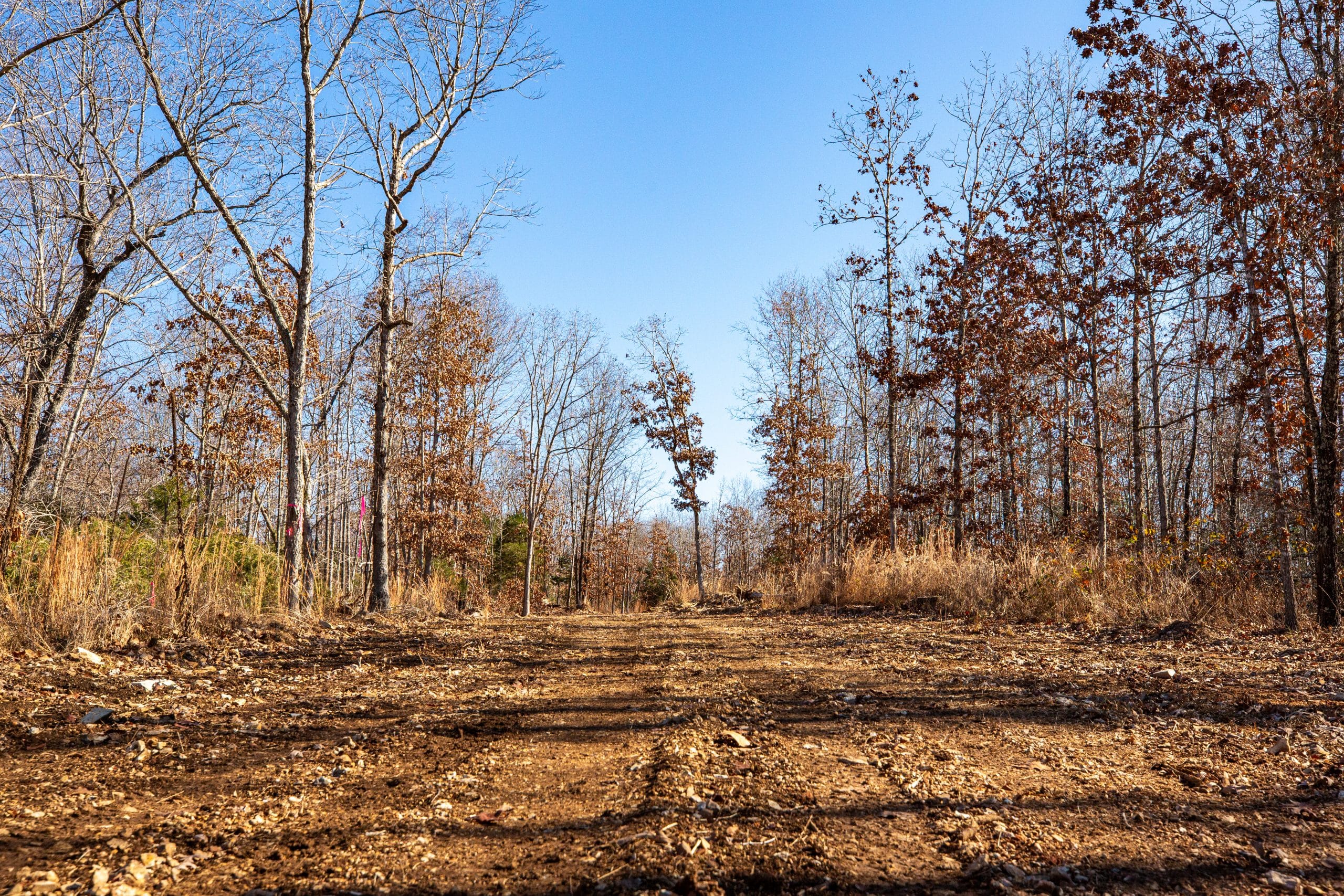 Dutchman Hollow photo 11