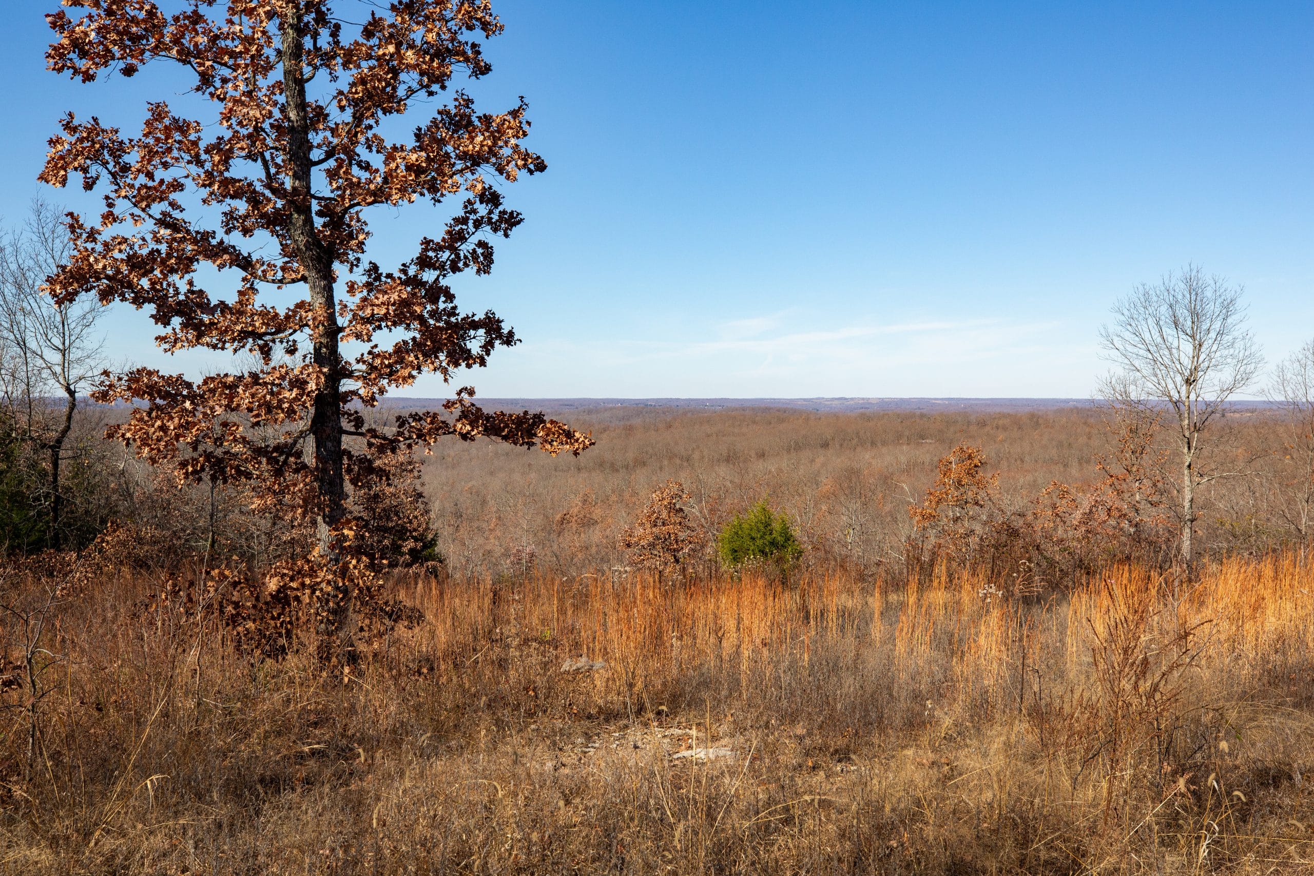 Dutchman Hollow photo 13